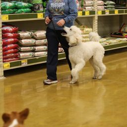 photograph by PeterW